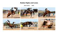 Rodeo Highs and Lows