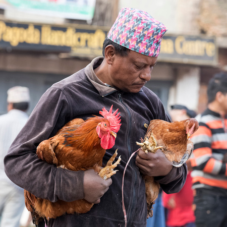 Bisket Jatra Festival - Chicken Buyer 2