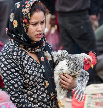 Bisket Jatra Festival - Chicken Buyer 4