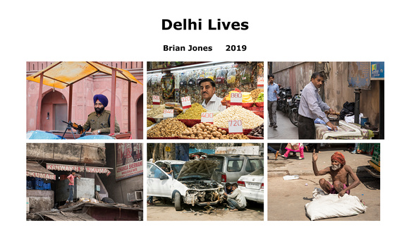 Delhi Lives