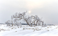 Japan in Winter